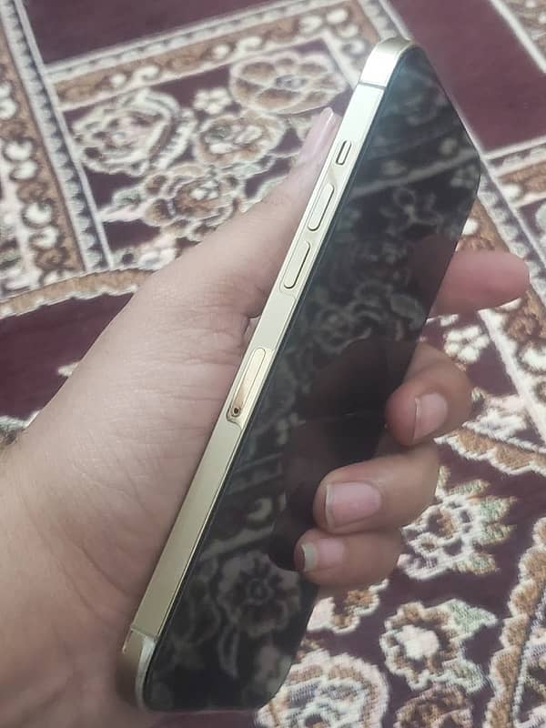 iphone 12 pro max 128 gb PTA Approved (Back Glass changed) 1