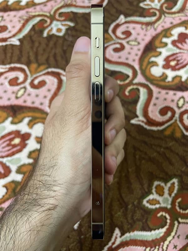 Iphone 12 Pro PTA Approved 3