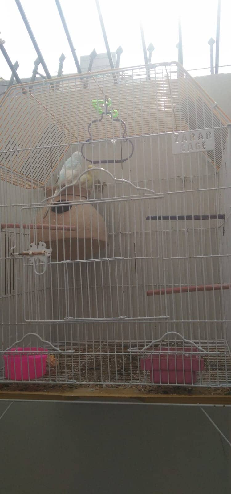 Birds Cage 2