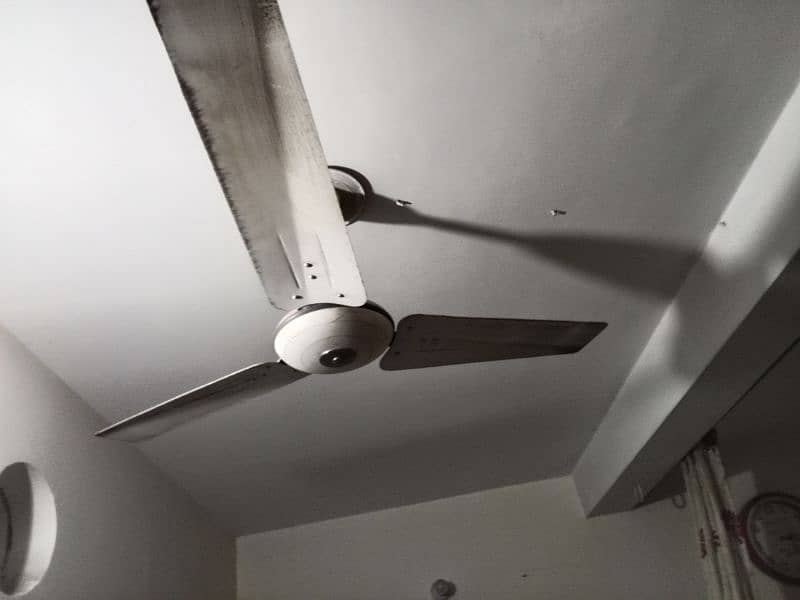 ceiling fan 1