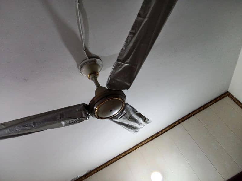 ceiling fan 3