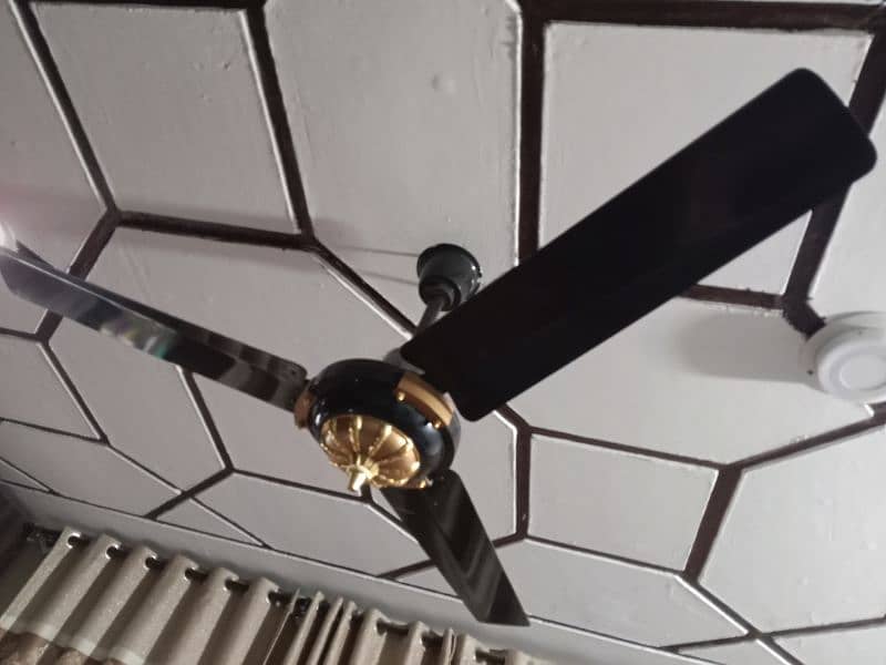 ceiling fan 5