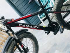 Cycle canary off roading tires