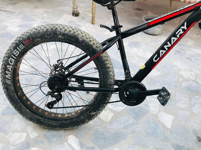 Cycle canary off roading tires 3