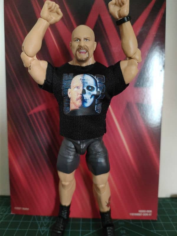 WWE Action figure & McFarlane 1