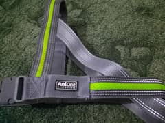 Security Harness and Leash - Amazom European Stock - Imported Qulaity