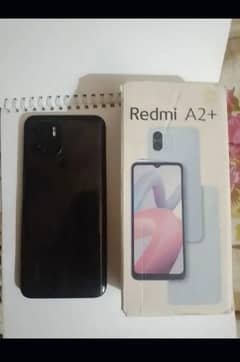 a2 plus