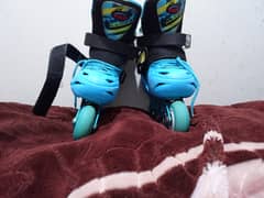 Skating shoes