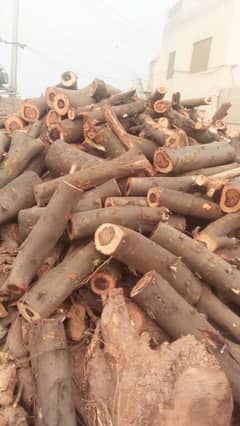 Wood for sale  Lahore