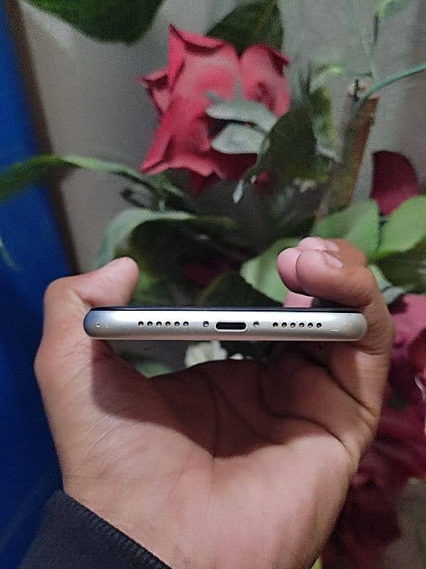 iPhone 11 non pta factory unlocked 5