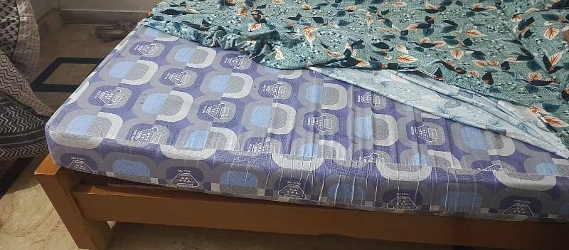 Mattress  used only 6 Month  and 10 Year Werenty 4