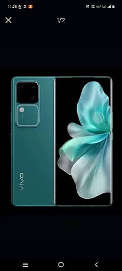 Vivo