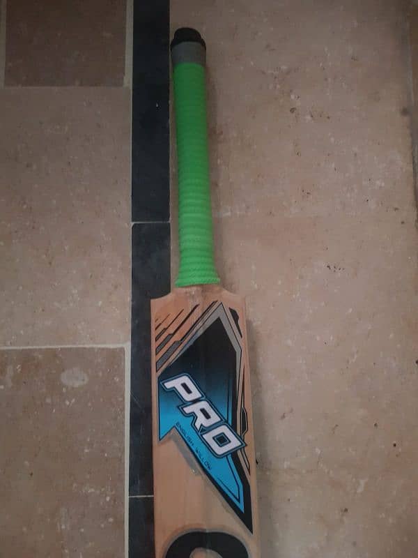 cricket bat 0