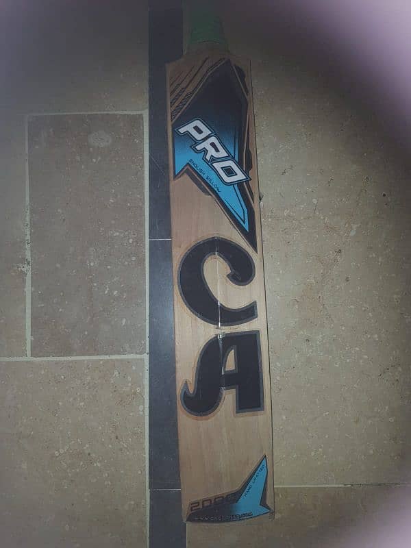 cricket bat 1