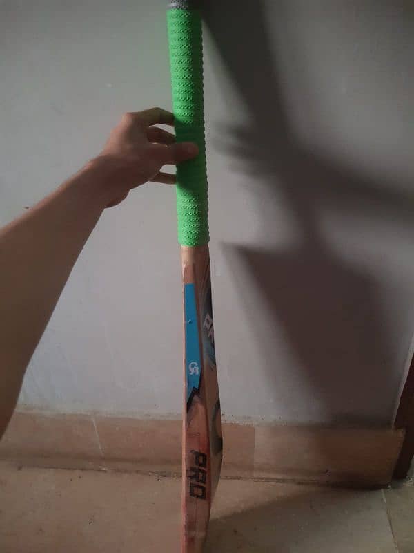 cricket bat 2