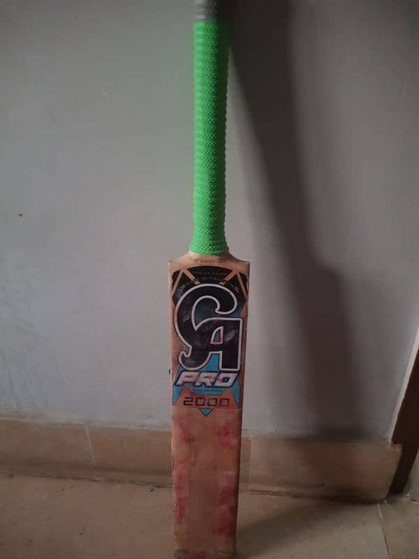 cricket bat 3