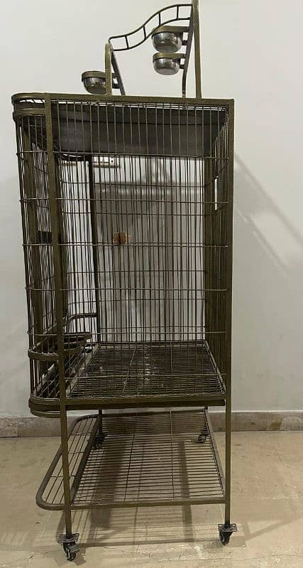 Cage For Birds 4