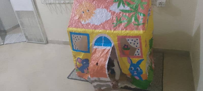 kids House for sell 2