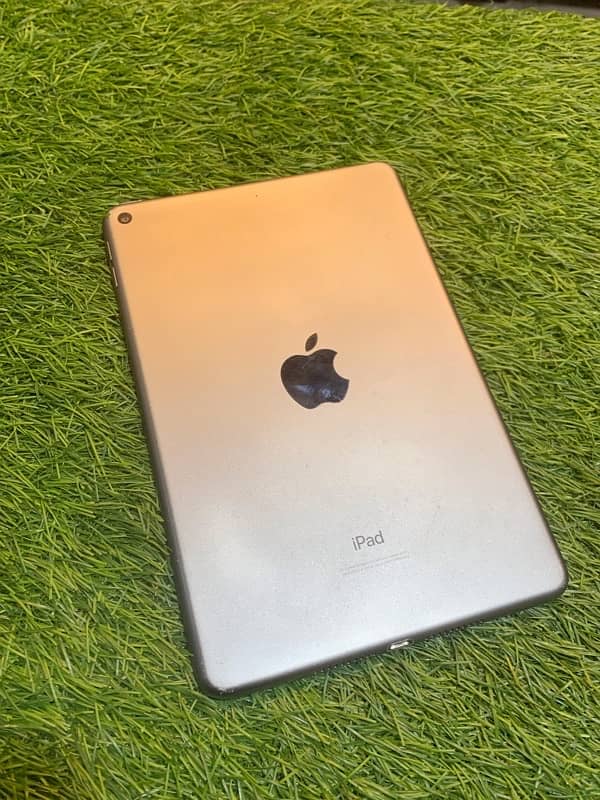 Ipad Mini 5 With Box And Original Charger 1