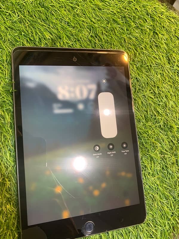 Ipad Mini 5 With Box And Original Charger 3