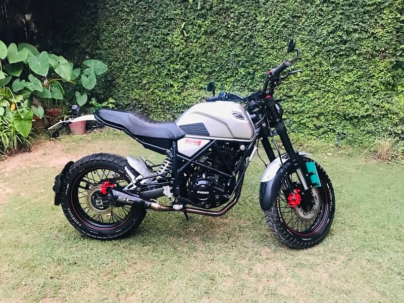 Tekken fuego 250 Scrambler 1