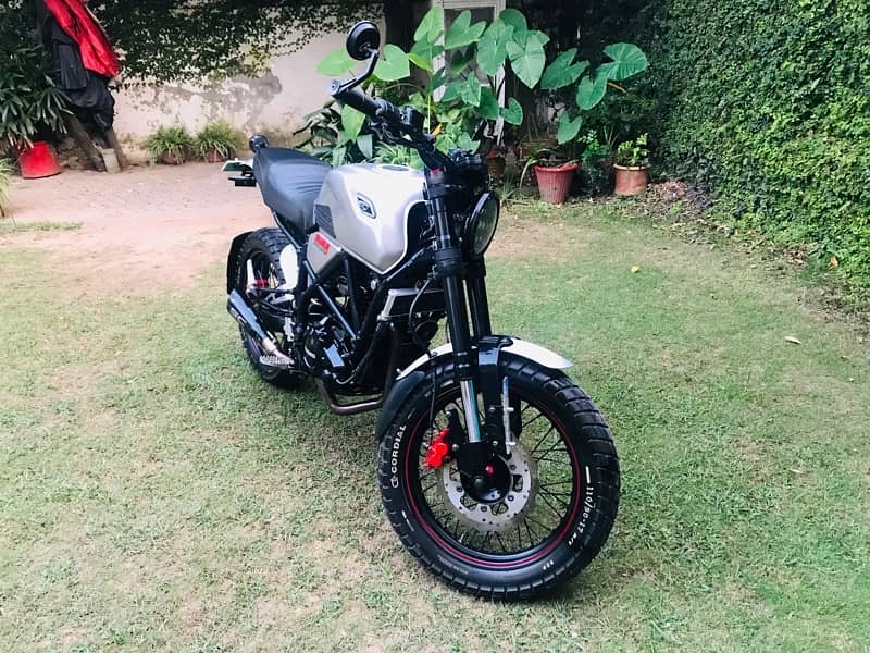 Tekken fuego 250 Scrambler 2