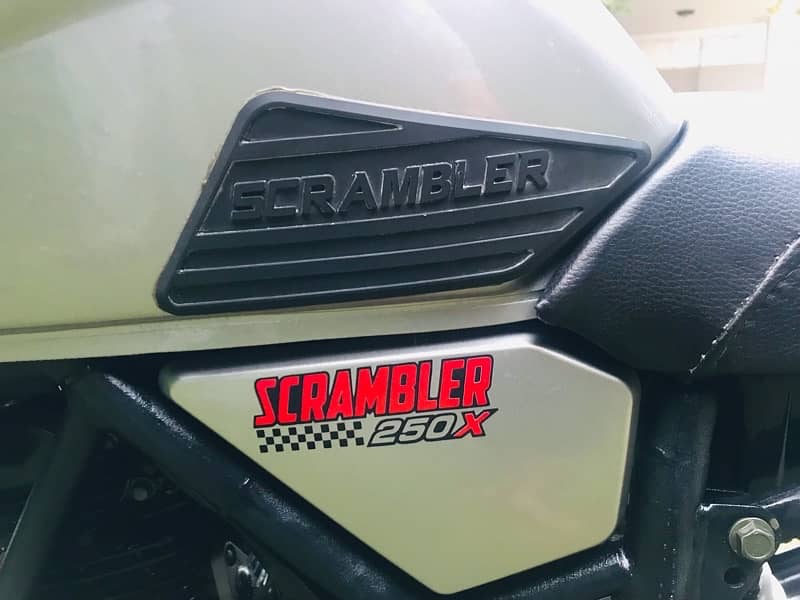 Tekken fuego 250 Scrambler 5