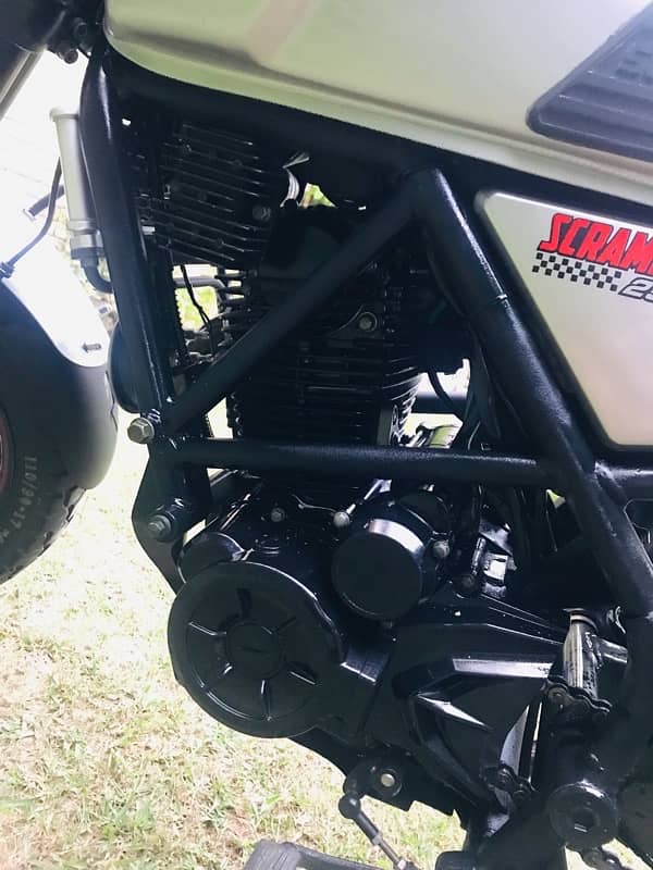 Tekken fuego 250 Scrambler 6