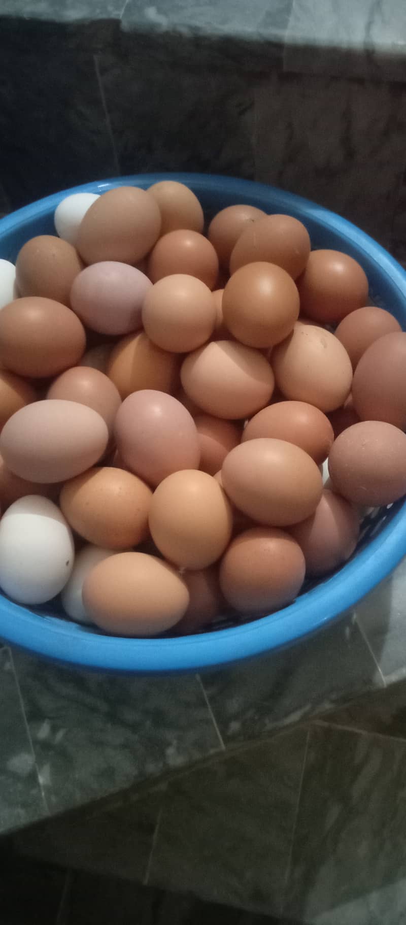 Home based farming:'Desi eggs 0