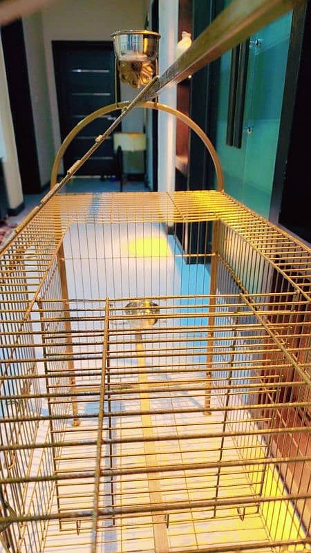 Cages / Playing Stands For Grey parrot / Macaw / Cockatoo 10