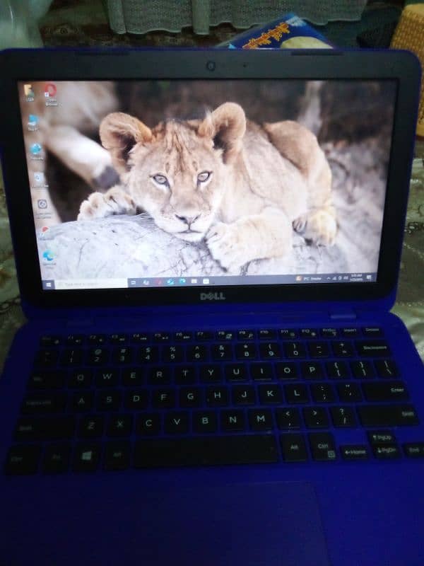 dell Inspiron 6