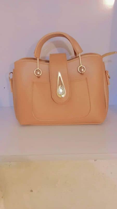 Ladies bags 1