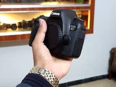 dslr Canon 6d (10/10) Professional body