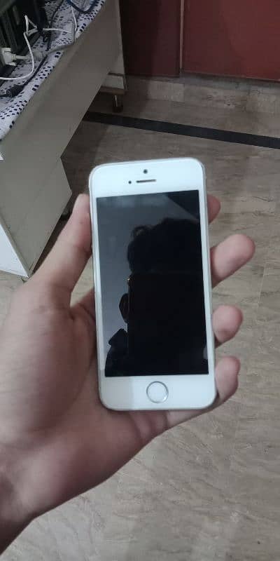 iPhone 5s Non-Pta 5