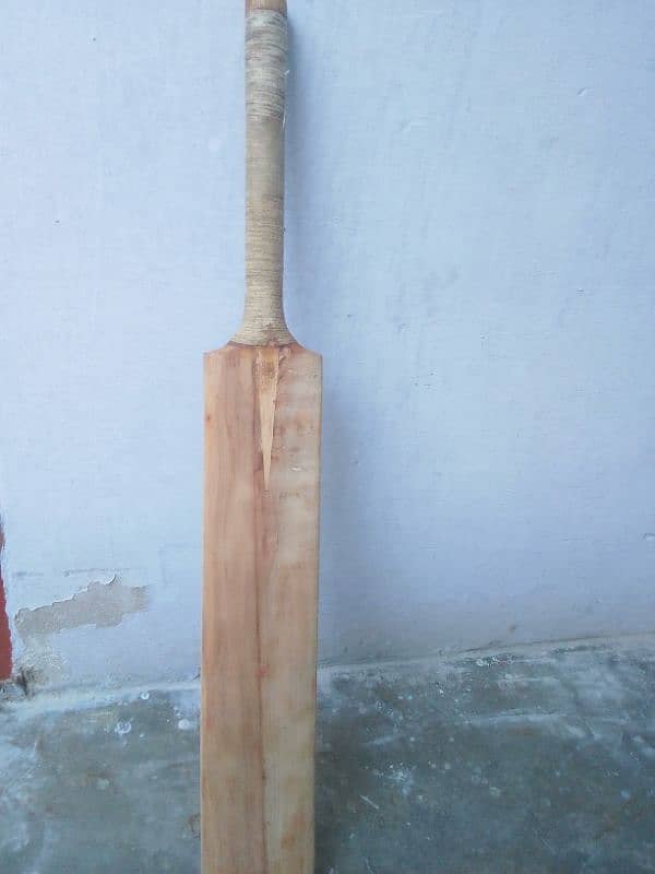 Hard Ball Bats 3