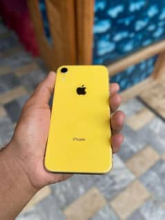 i phone XR