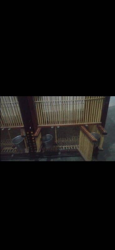 fancy double portion teetar cage for sale 2