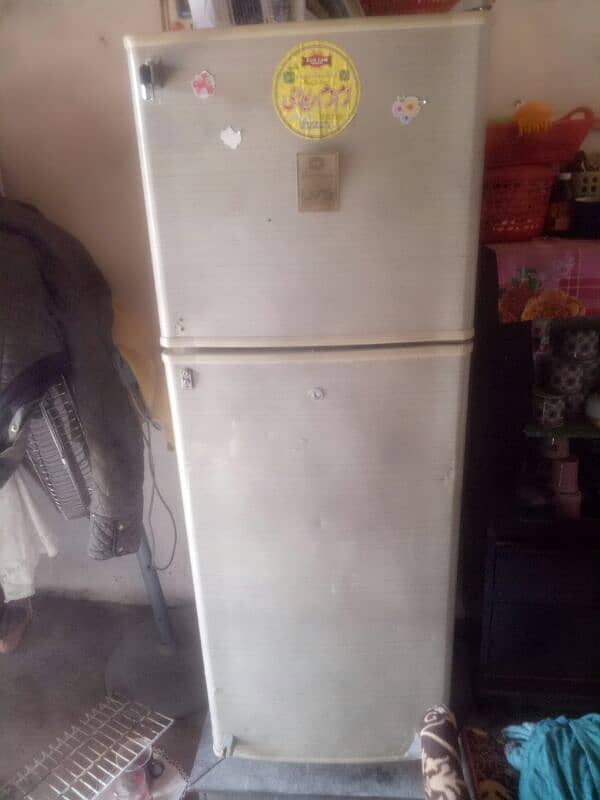 fridge midum size downlance 2