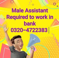 Male Assitant required for bank working