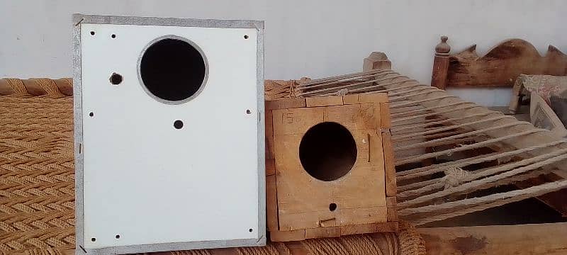 ,bugies male, cocktail or lovebird breeding box 1