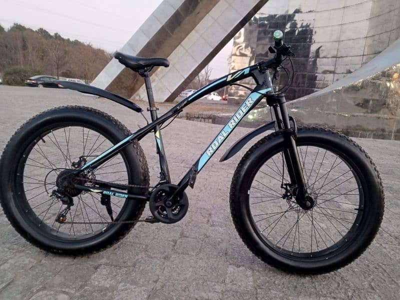 Roal Rider fat bicycle for sale 0