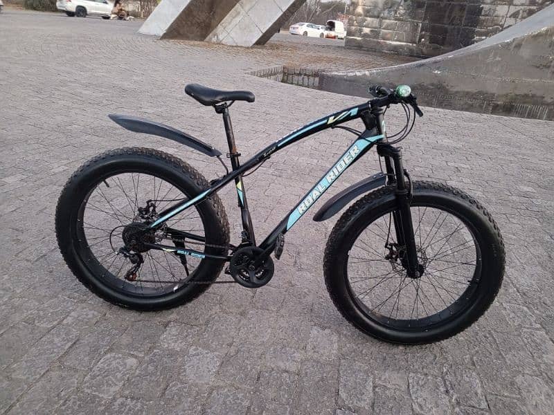 Roal Rider fat bicycle for sale 1