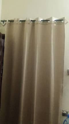 skin curtains for sale