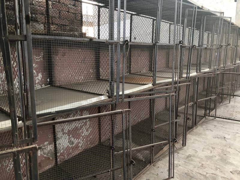 cage | hens cage | pinjra | Animal cage 1