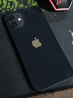 iPhone 12 ( 256 GB )