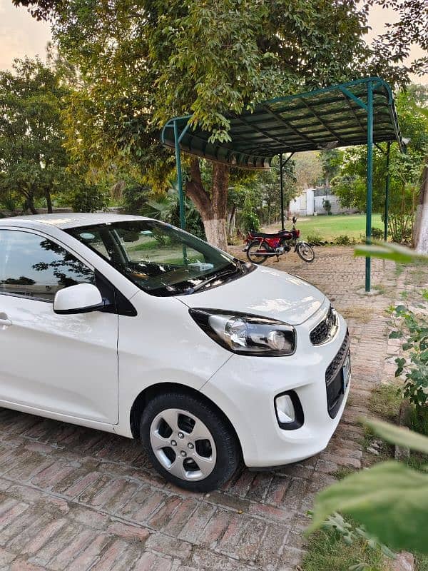 KIA Picanto 2021 1