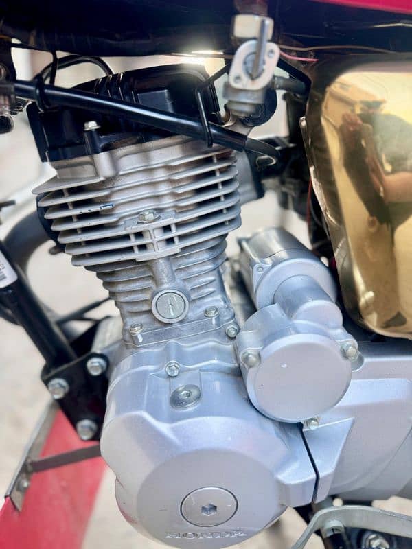 HONDA 125 Gold Edition 13