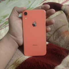 Iphone XR 64gb