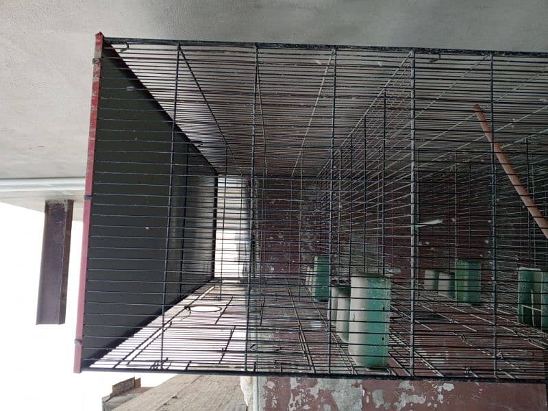 2 Cages for sale with Complete Accessories (16k each demand). 7