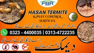 Fumigation Rodent Dengue Bedbug Control and Termite Treatment services